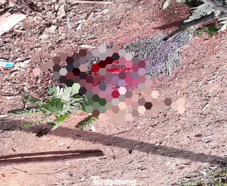 Hiện trường vụ án -Ảnh: Duy Chiến