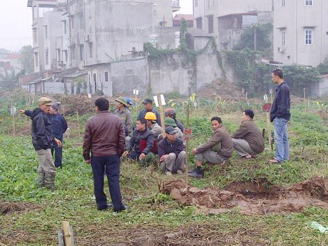 Những người đào trộm mộ bị dân bao vây. Những người đào trộm mộ bị dân bao vây