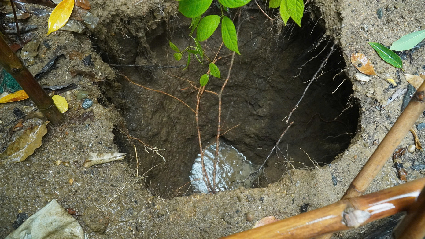 Hố sút đất tại vườn nhà bà Thức. Ảnh: Anh Vũ