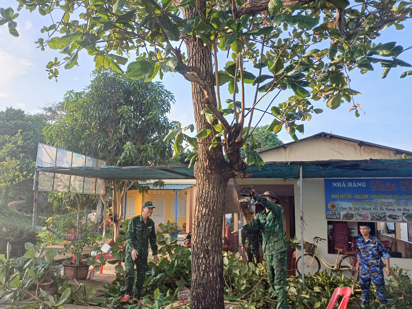 Lực lượng chức năng huyện đảo Cồn Cỏ cắt tỉa cây xanh phòng chống ảnh hưởng áp thấp nhiệt đới có khả năng mạnh lên thành bão.