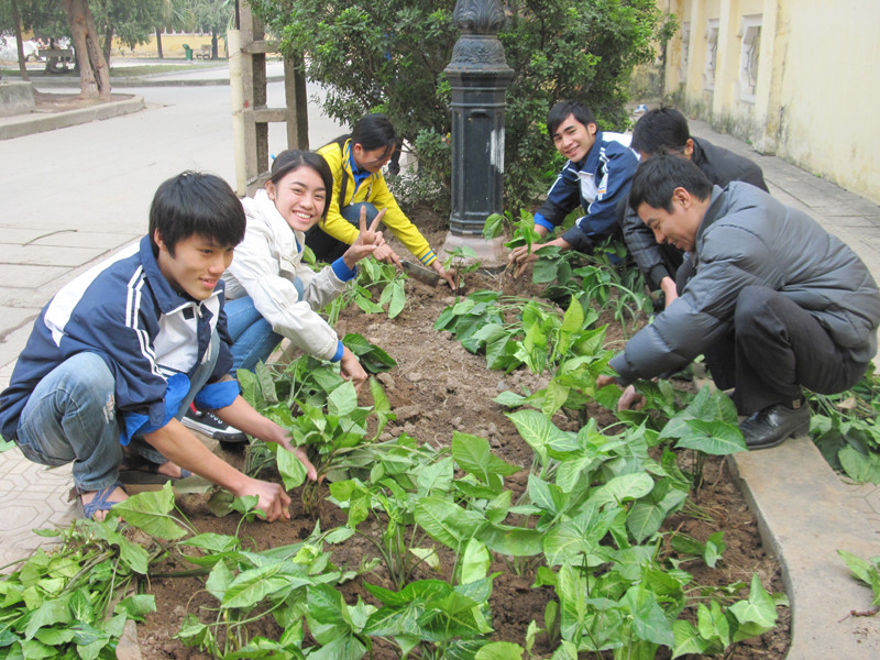 Hành động vì môi trường học tập, làm việc xanh - sạch - đẹp