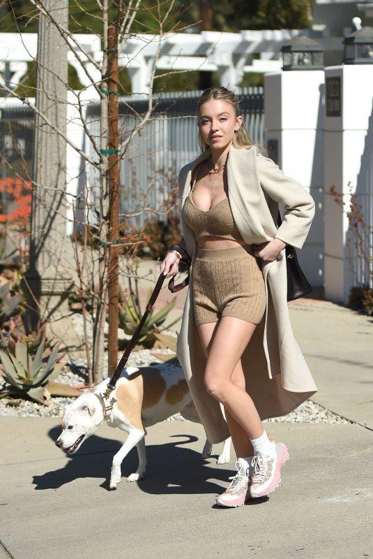 Bạn gái tin đồn của Brad Pitt một thời dắt chó dạo phố ở Los Angeles mới đây.