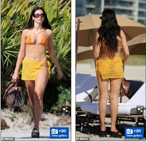 Sau đó, nữ ca sĩ "New Rules" cũng phải hoãn vào tháng 3 năm 2020 cũng vì sự hoành hành của dịch bệnh.