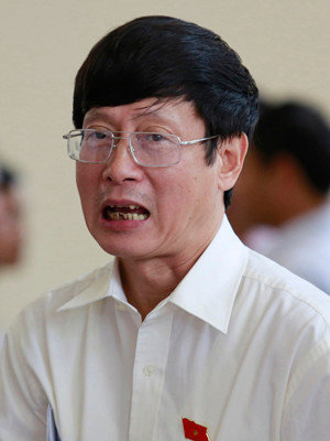 Ông Đỗ Mạnh Hùng