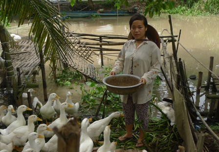 Nữ sinh nghèo 12 năm nuôi heo đất dành tiền đi học ảnh 2