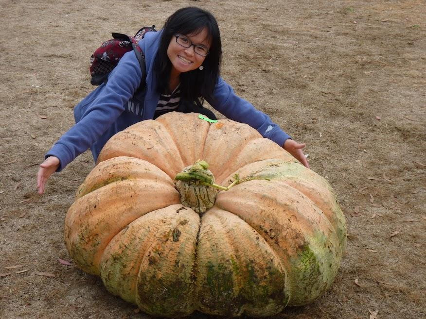 Tác giả sách "Duyên nợ Thái Bình Dương" - nhà văn Nguyễn Phương Lan chụp hình niệm cùng quả bí đỏ khổng lồ. Ảnh: NVCC