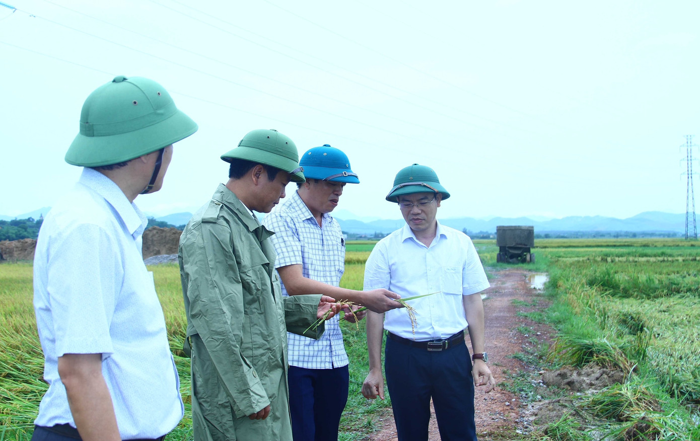 Lãnh đạo Sở NN&amp;PTNT tỉnh Quảng Bình đi kiểm tra thực địa.