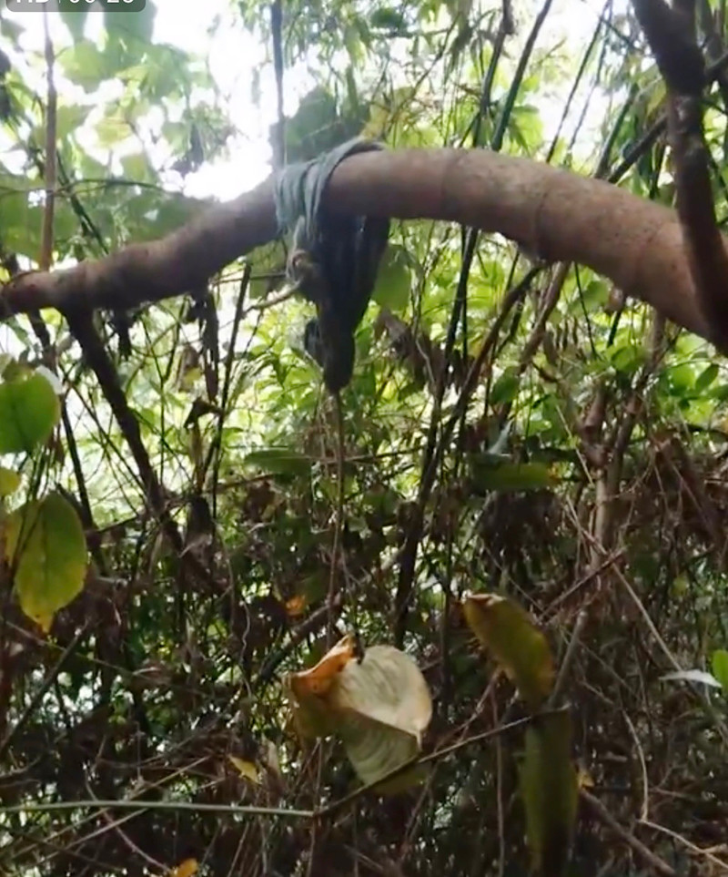 Hiện trường nơi phát hiện thi thể được cho là của nghi phạm Hiện trường nơi phát hiện thi thể được cho là của nghi phạm