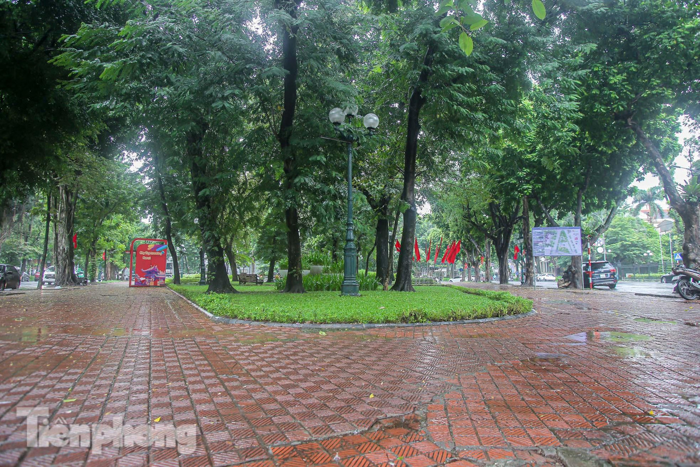 Phương án nghiên cứu của Công ty tư vấn DE-SO (Pháp) đưa ra là phát triển các không gian xanh trên địa bàn quận Hoàn Kiếm, kết hợp mở rộng các không gian cho người đi bộ, tôn vinh các công trình kiến trúc có giá trị trong phạm vi dự án, gắn với việc tu bổ công trình và chiếu sáng cảnh quan. Trong đó, nghiên cứu phương án cải tạo vườn hoa Diên Hồng (vườn hoa Con cóc).