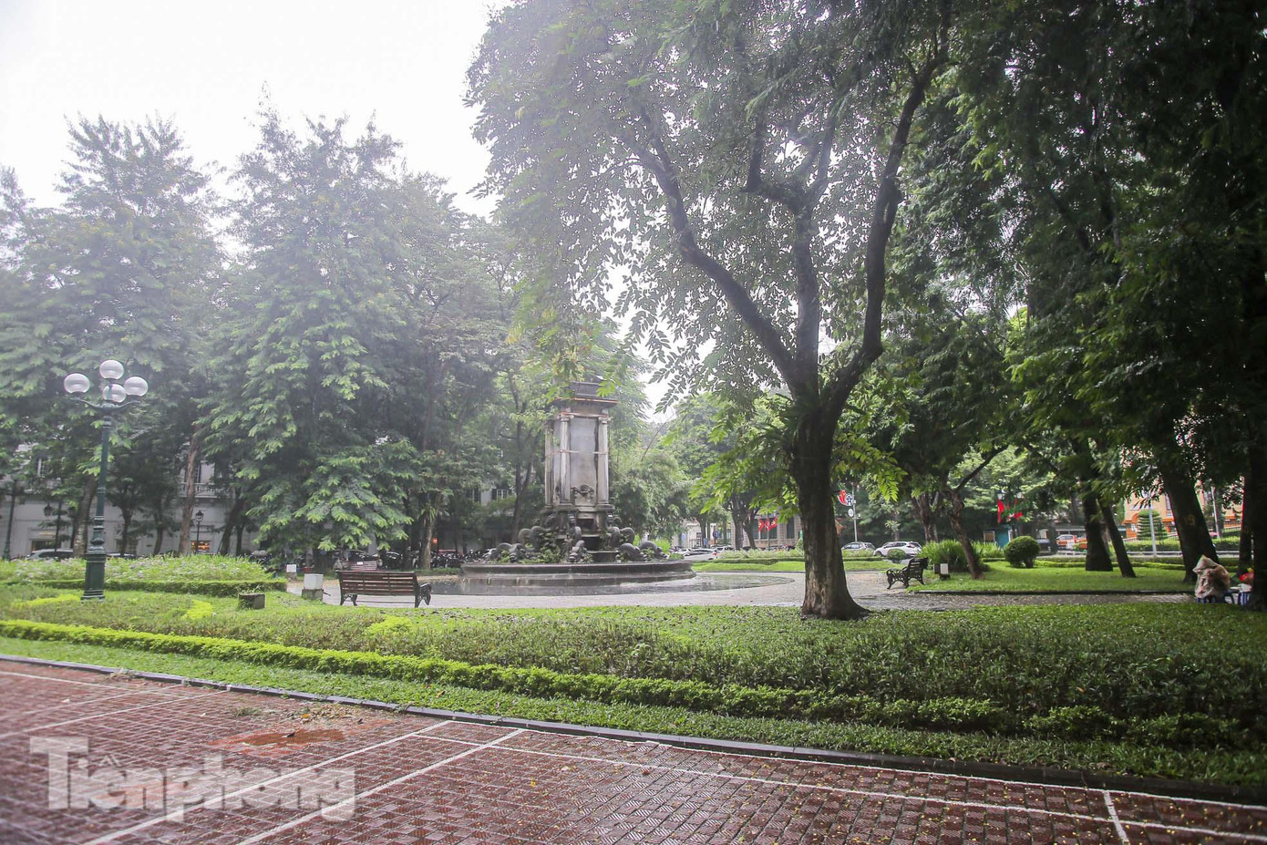 Ngày 15/12/2021, UBND Thành phố có Thông báo số 671/TB-VP về kết luận của đồng chí Dương Đức Tuấn phó Chủ tịch UBND Thành phố tại cuộc họp về “dự án quy hoạch không gian công cộng và thử nghiệm quản lý không gian xanh theo định hướng sinh thái tại quận Hoàn Kiếm”. Theo đó, tán thành định hướng nghiên cứu đối với vườn hoa Diên Hồng.