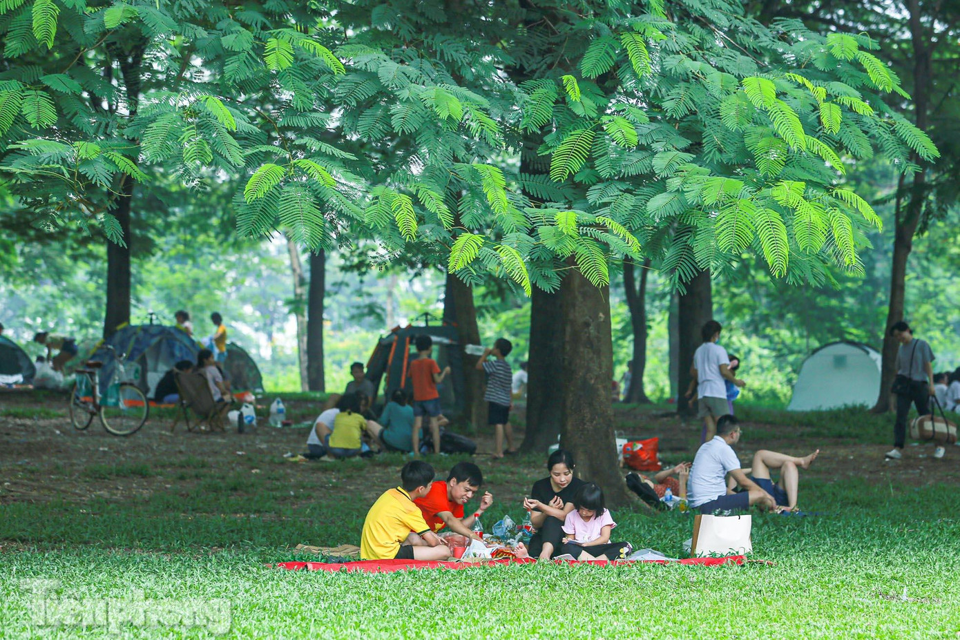 Bãi cỏ xanh, rộng, nhiều cây bóng cao, rất phù hợp để cắm trại ngoài trời.