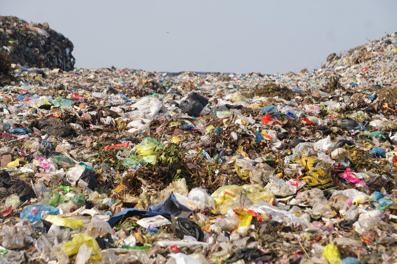 Suố thời gian dài, người dân sinh sống lân cận phản ánh về tình trạng ô nhiễm môi trường Suố thời gian dài, người dân sinh sống lân cận phản ánh về tình trạng ô nhiễm môi trường