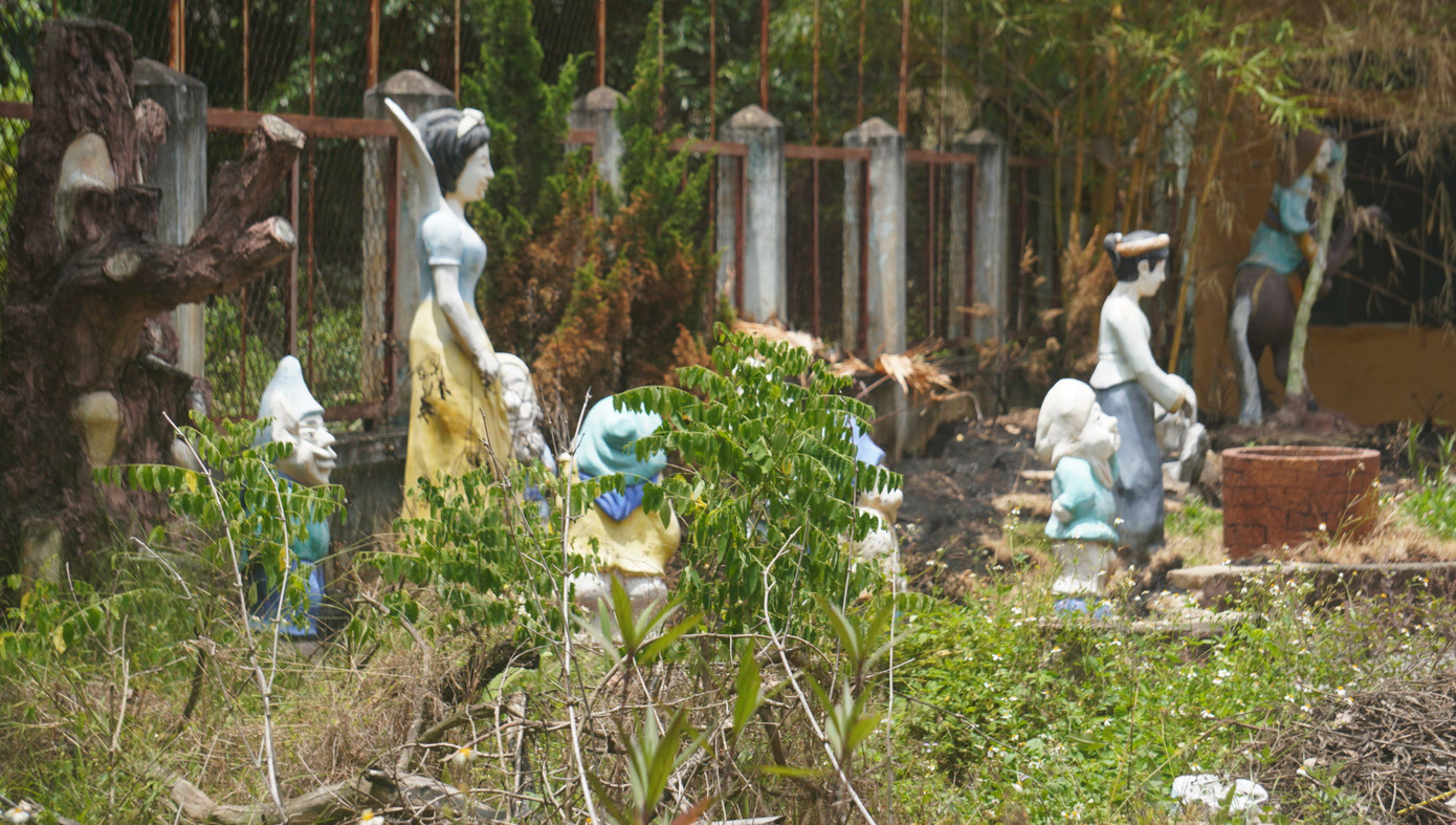 Khu Trường mầm non Thực hành cỏ mọc um tùm