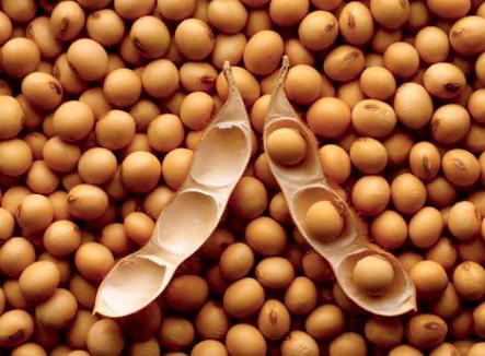 Ăn càng nhiều thịt mỡ, chàng càng khó “lên đỉnh“ ảnh 1