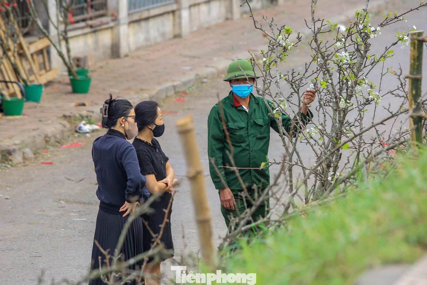 Mặc dù xuống phố sớm hơn 2 tháng nhưng loài hoa này vẫn được người dân Thủ đô săn lùng.