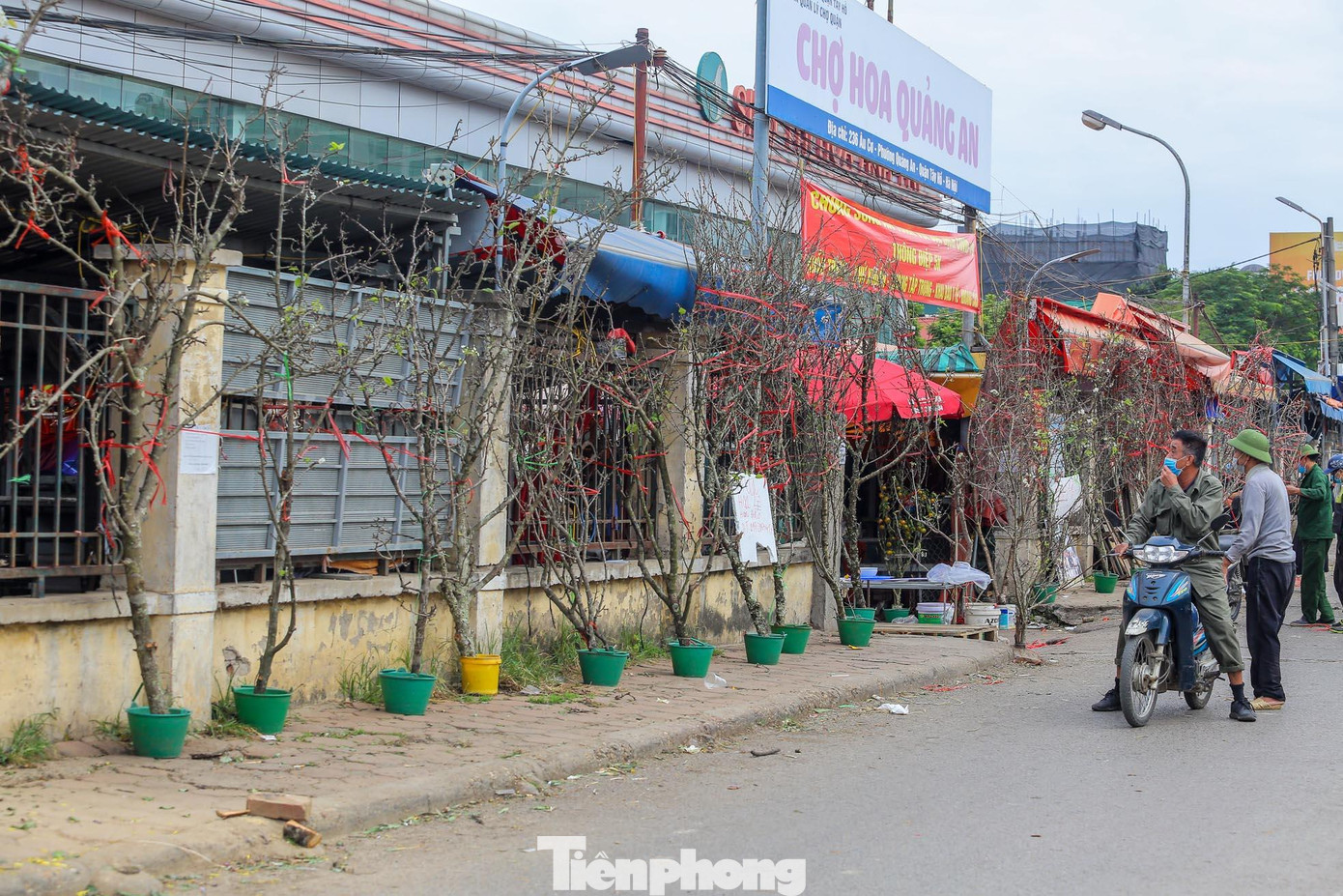 Ghi nhận của PV, dọc các con phố Lạc Long Quân, Âu Cơ, Nghi Tàm, chợ hoa Quảng An (Tây Hồ, Hà Nội) xuất hiện nhiều hoa lê trắng được các tiểu thương đưa từ Cao Bằng, Lạng Sơn, Lào Cai phục vụ người dân Thủ đô.