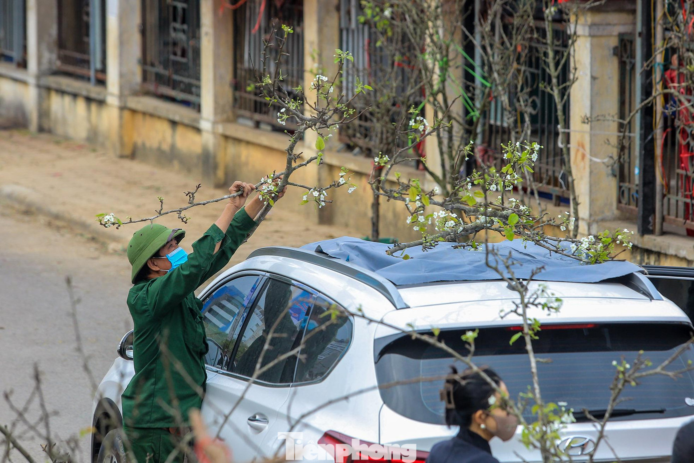 "Hoa lê trắng nở đẹp, mỗi cành có thể chơi được hơn 2 tháng, mua từ bây giờ vừa đúng dịp Tết là nở đẹp", tiểu thương chia sẻ.