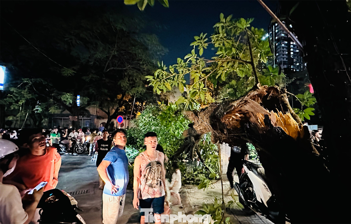 Nhánh cây đa bất ngờ đổ ập xuống chắn ngang đường.