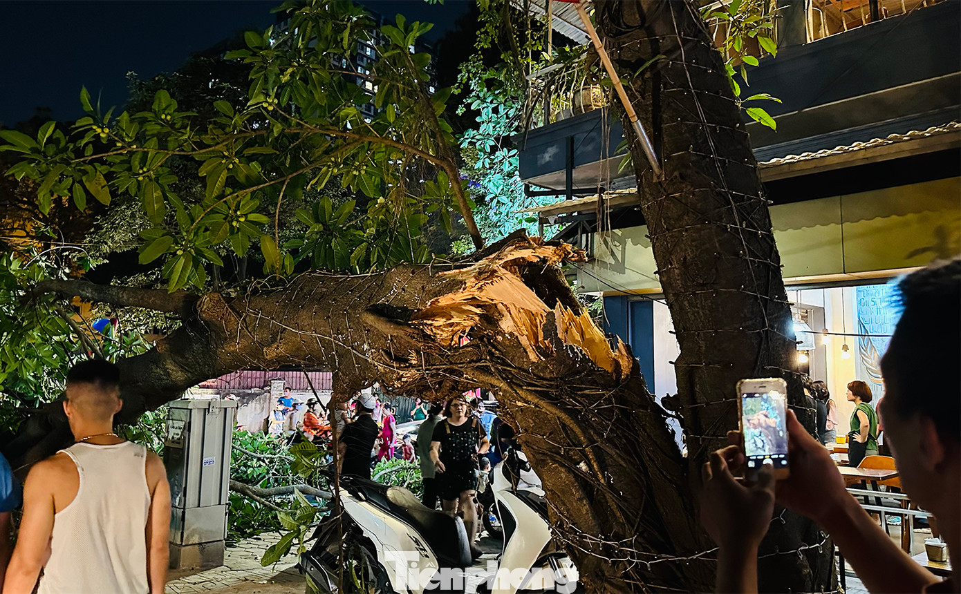 Chị Nhung, ngồi uống cà phê trước cửa nhà, cho biết: "Tôi đang ngồi bỗng nghe tiếng kêu rắc rắc, ngay sau đó thấy cả cành cây to đổ từ từ xuống chắn ngang đường, thấy 2 vợ chồng cùng một cháu bé đi ngang qua đường lúc đó, người chồng bị cành cây đè lên bị thương nhẹ".
