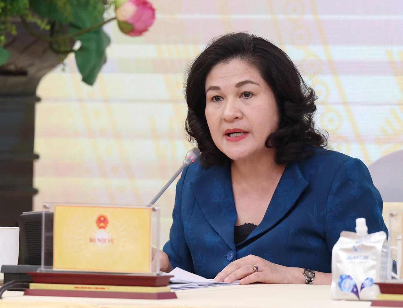 Thứ trưởng Bộ Nội vụ Nguyễn Thị Hà. Ảnh: Như Ý Thứ trưởng Bộ Nội vụ Nguyễn Thị Hà. Ảnh: Như Ý