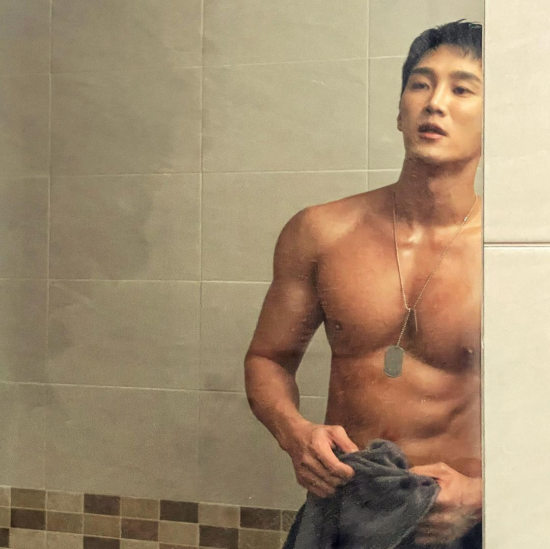 Sau Hậu duệ mặt trời, sự nghiệp diễn xuất và đóng quảng cáo của Ahn Bo Hyun khởi sắc. Anh dần trở thành gương mặt có độ nhận diện tại Hàn Quốc.