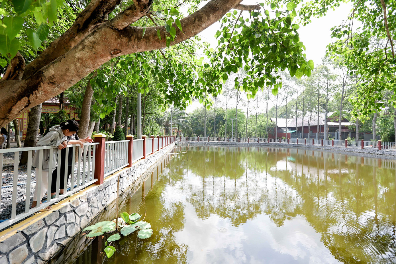 Một hồ nước lớn bên trong khuôn viên chùa Tôn Thạnh.