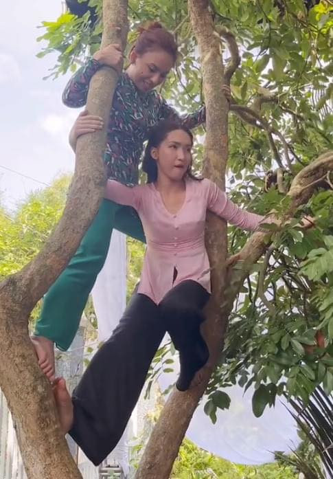 Hình ảnh hai nghệ sĩ nhiệt tình leo cây đang lan truyền trên mạng và nhận nhiều bình luận hài hước: &quot;Đúng là Hòa Minzy gặp Ngọc Phước chỉ có vui lên nóc nhà&quot;, &quot;Tối qua diễn nét thùy mị là thấy không đúng lắm rồi&quot;, &quot;Là thùy mị dữ chưa? Hôm nay leo lên tới cây rồi không biết sẽ tới chuyện gì nữa&quot;...