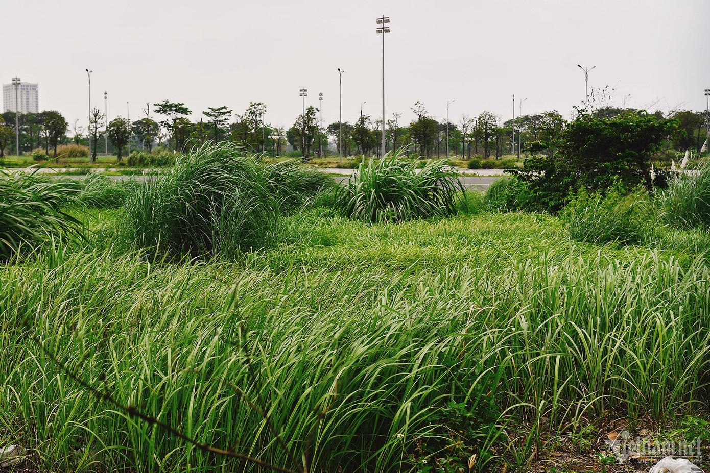 Mới đây nhất, Hội đồng quản trị Công ty Cổ phần Tập đoàn Vingroup vừa ban hành nghị quyết về việc giải thể Công ty TNHH Việt Nam Grand Prix, một công ty con do tập đoàn sở hữu 100% vốn điều lệ (1.000 tỷ đồng), được thành lập để tổ chức giải đua xe công thức 1 (Formula 1 - F1). Mới đây nhất, Hội đồng quản trị Công ty Cổ phần Tập đoàn Vingroup vừa ban hành nghị quyết về việc giải thể Công ty TNHH Việt Nam Grand Prix, một công ty con do tập đoàn sở hữu 100% vốn điều lệ (1.000 tỷ đồng), được thành lập để tổ chức giải đua xe công thức 1 (Formula 1 - F1).
