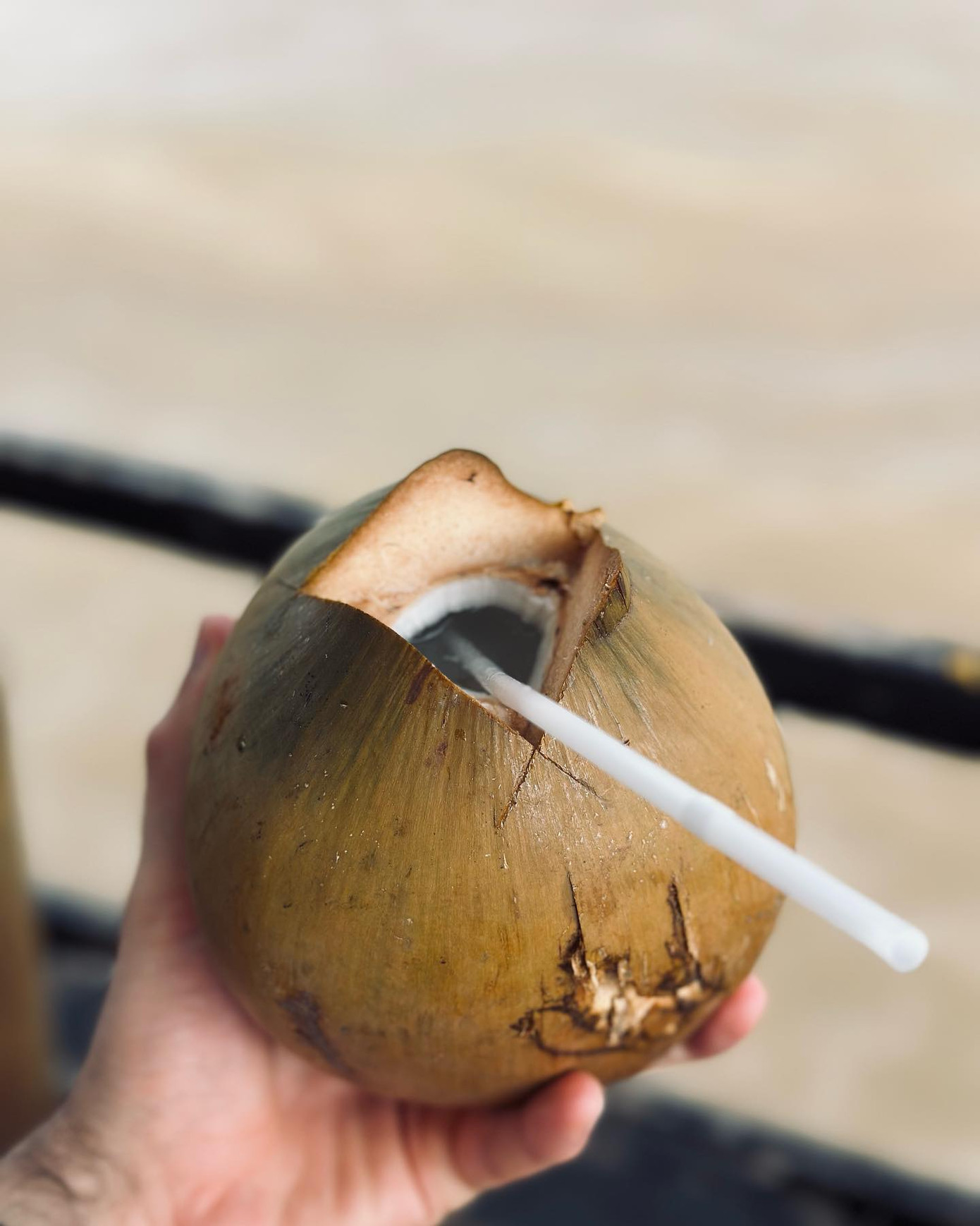 Sau chuyến thăm địa đạo, Patricio Parodi đăng ảnh trải nghiệm văn hóa miền Tây sông nước, đi xuồng dọc sông, uống nước dừa chặt tại chỗ.