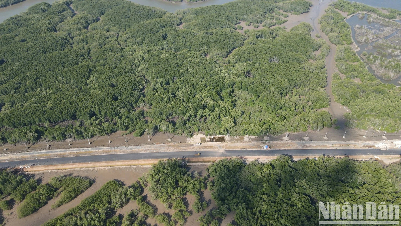 Để xây dựng tuyến đường, tỉnh Đồng Nai chuyển đổi mục đích sử dụng đất 35ha rừng ngập mặn để giao mặt bằng cho chủ đầu tư thi công dự án.