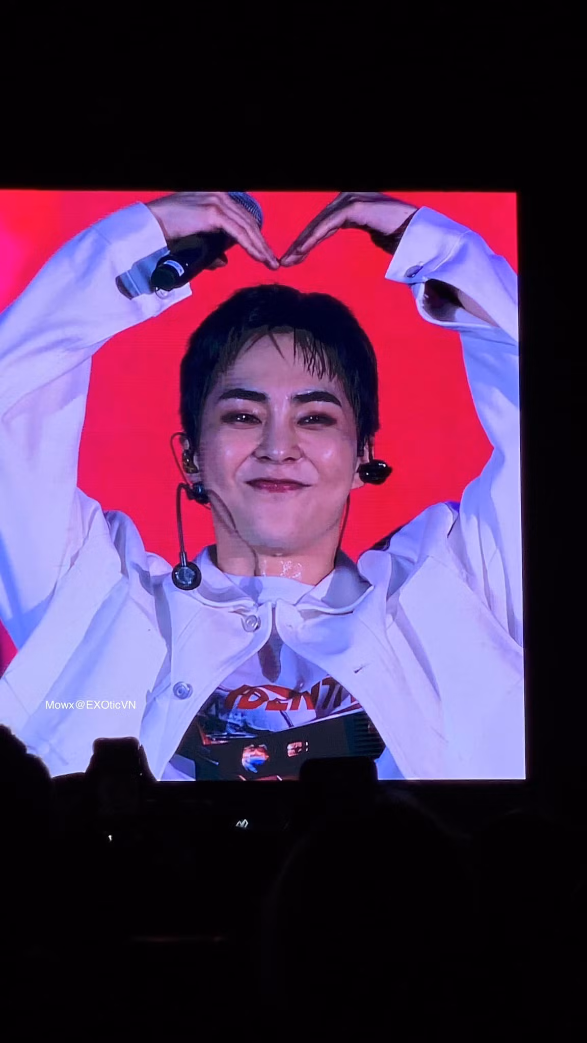 Khoảnh khắc thả tim, tương tác và bày tỏ tình cảm với fan Việt của Xiumin và Suho được người hâm mộ chia sẻ nhiều trên mạng xã hội.