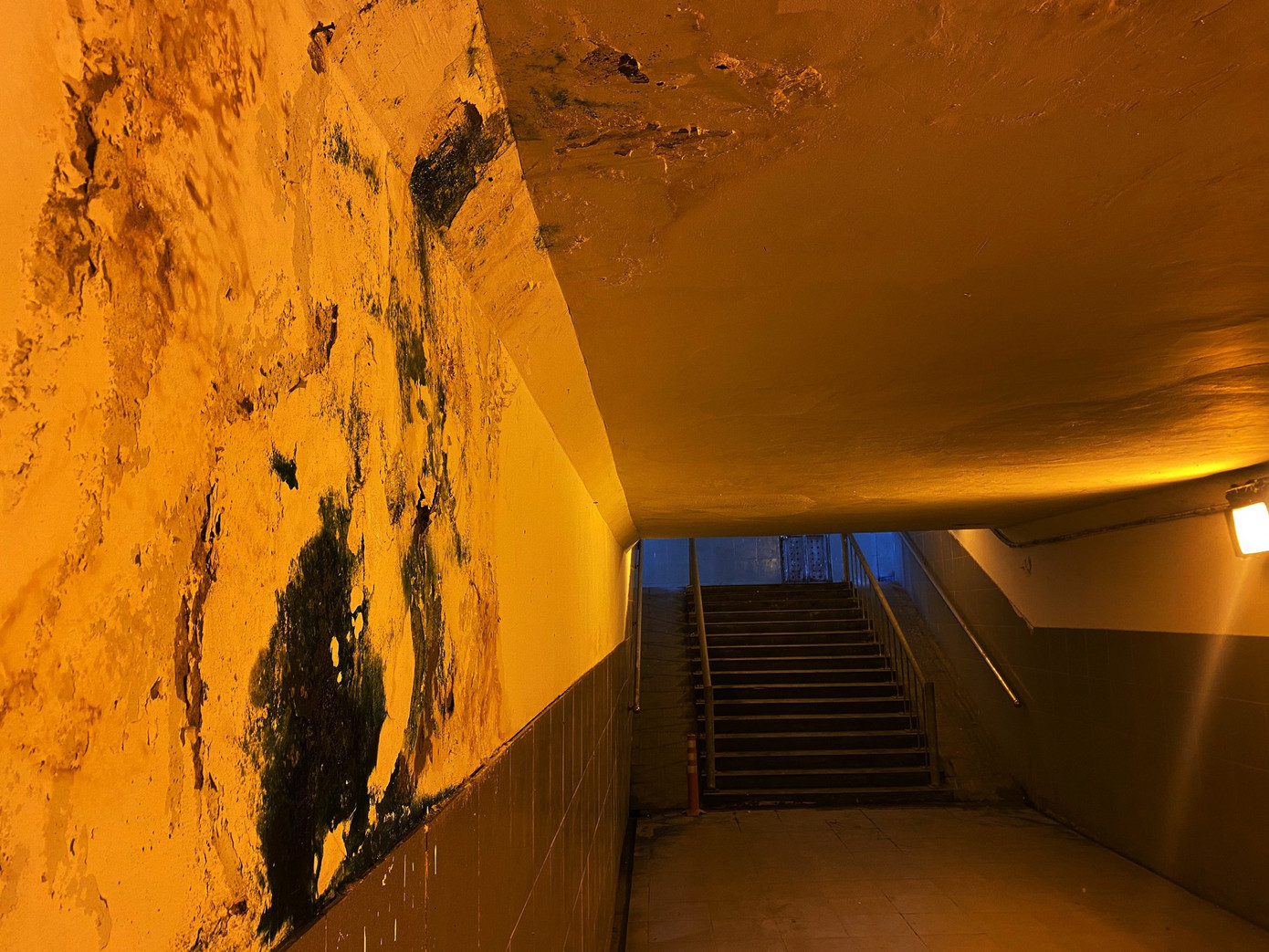 Bên trong hầm đi bộ tại nút giao thông Bình Thuận (Quốc lộ 1 giao với đại lộ Nguyễn Văn Linh, huyện Bình Chánh, TPHCM) tường mốc meo... Bên trong hầm đi bộ tại nút giao thông Bình Thuận (Quốc lộ 1 giao với đại lộ Nguyễn Văn Linh, huyện Bình Chánh, TPHCM) tường mốc meo...