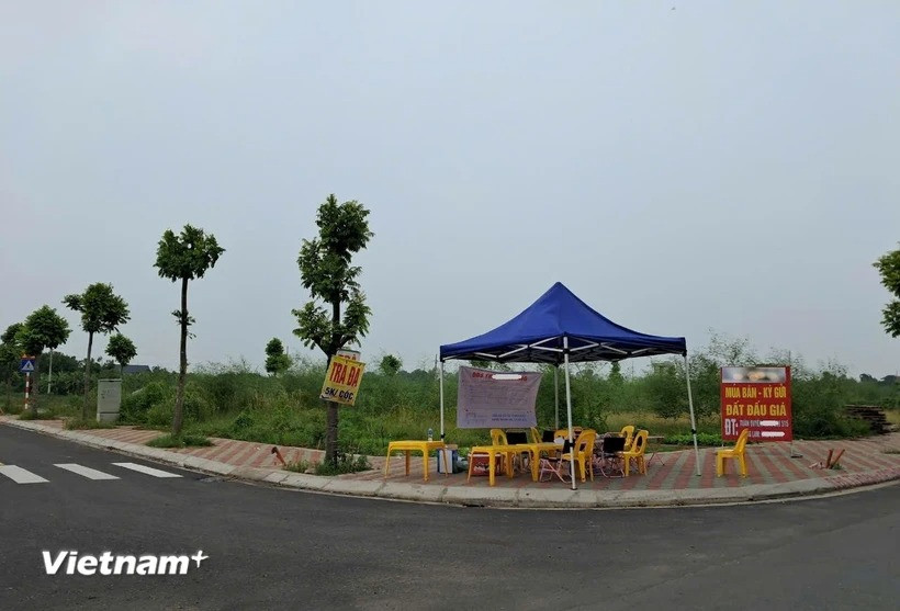 Tình hình thực tế trong ngày 13/8/2024 tại khu vực đất được đấu giá ở thôn Thanh Thần, xã Thanh Cao, huyện Thanh Oai, thành phố Hà Nội. (Ảnh: Hùng Võ/Vietnam+) Tình hình thực tế trong ngày 13/8/2024 tại khu vực đất được đấu giá ở thôn Thanh Thần, xã Thanh Cao, huyện Thanh Oai, thành phố Hà Nội. (Ảnh: Hùng Võ/Vietnam+)