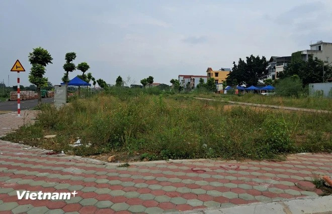 Không bán lướt nhanh, nhiều lô đất có nguy cơ bỏ cọc. (Ảnh: Hùng Võ/Vietnam+) Không bán lướt nhanh, nhiều lô đất có nguy cơ bỏ cọc. (Ảnh: Hùng Võ/Vietnam+)