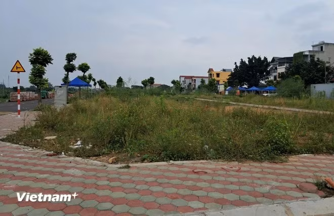 Không bán lướt nhanh, nhiều lô đất có nguy cơ bỏ cọc. (Ảnh: Hùng Võ/Vietnam+)