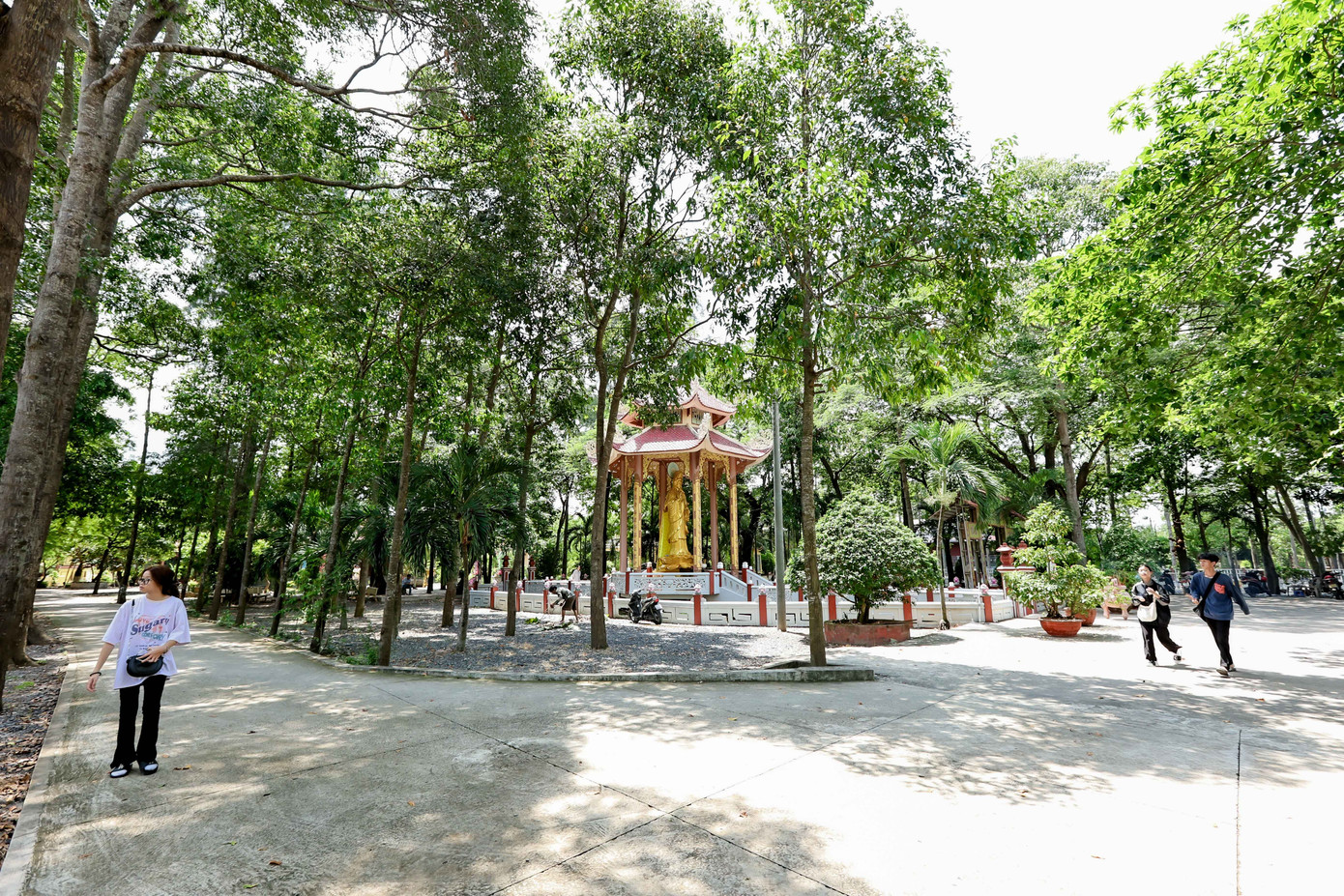 Với không gian rộng rãi, thoáng mát, rợp bóng cây xanh và cũng là nơi gắn liền với sự nghiệp văn chương của nhà thơ yêu nước Nguyễn Đình Chiểu, chùa Tôn Thạnh thu hút nhiều khách tham quan và du lịch trên cả nước.