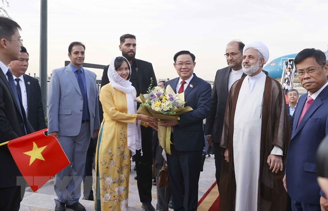 Cộng đồng người Việt tại Iran đón Chủ tịch Quốc hội Vương Đình Huệ tại Sân bay Mehrabad, thủ đô Tehran. (Ảnh: Doãn Tấn/TTXVN).