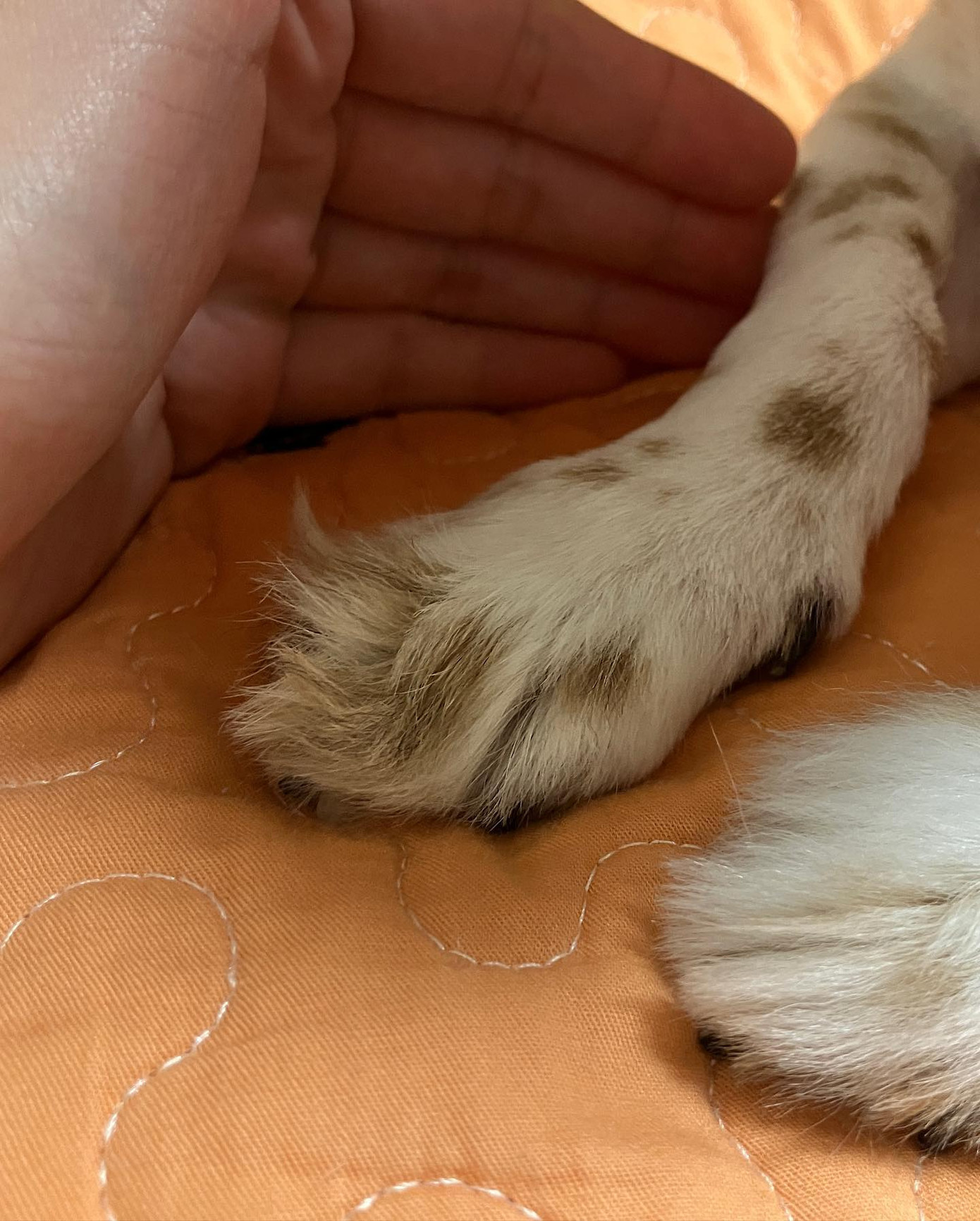 Hình ảnh cuối của Nahee trên trang cá nhân.