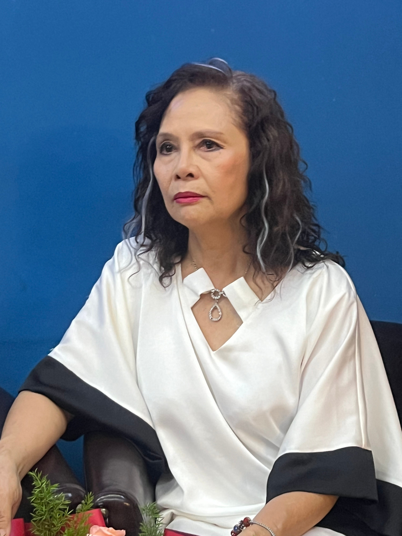 NSND Minh Châu trong buổi chia sẻ về bộ phim Cu li không bao giờ khóc.