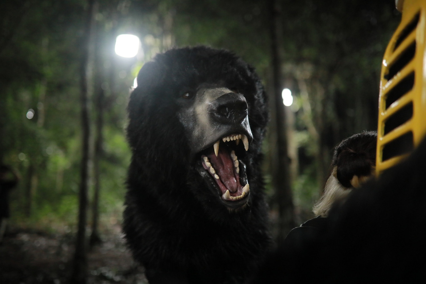 Hình tượng gấu và hiện trường thực hiện một phân cảnh trong Móng vuốt.