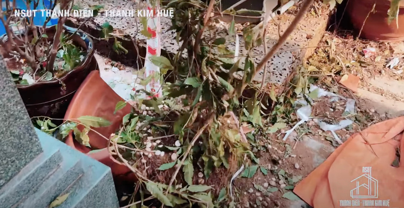 Người dân giẫm đạp khu vực mộ phần của nhiều nghệ sĩ, phần hoa tại khu vực mộ NSƯT Thanh Kim Huệ bị hư hại sau tang lễ NSƯT Vũ Linh.