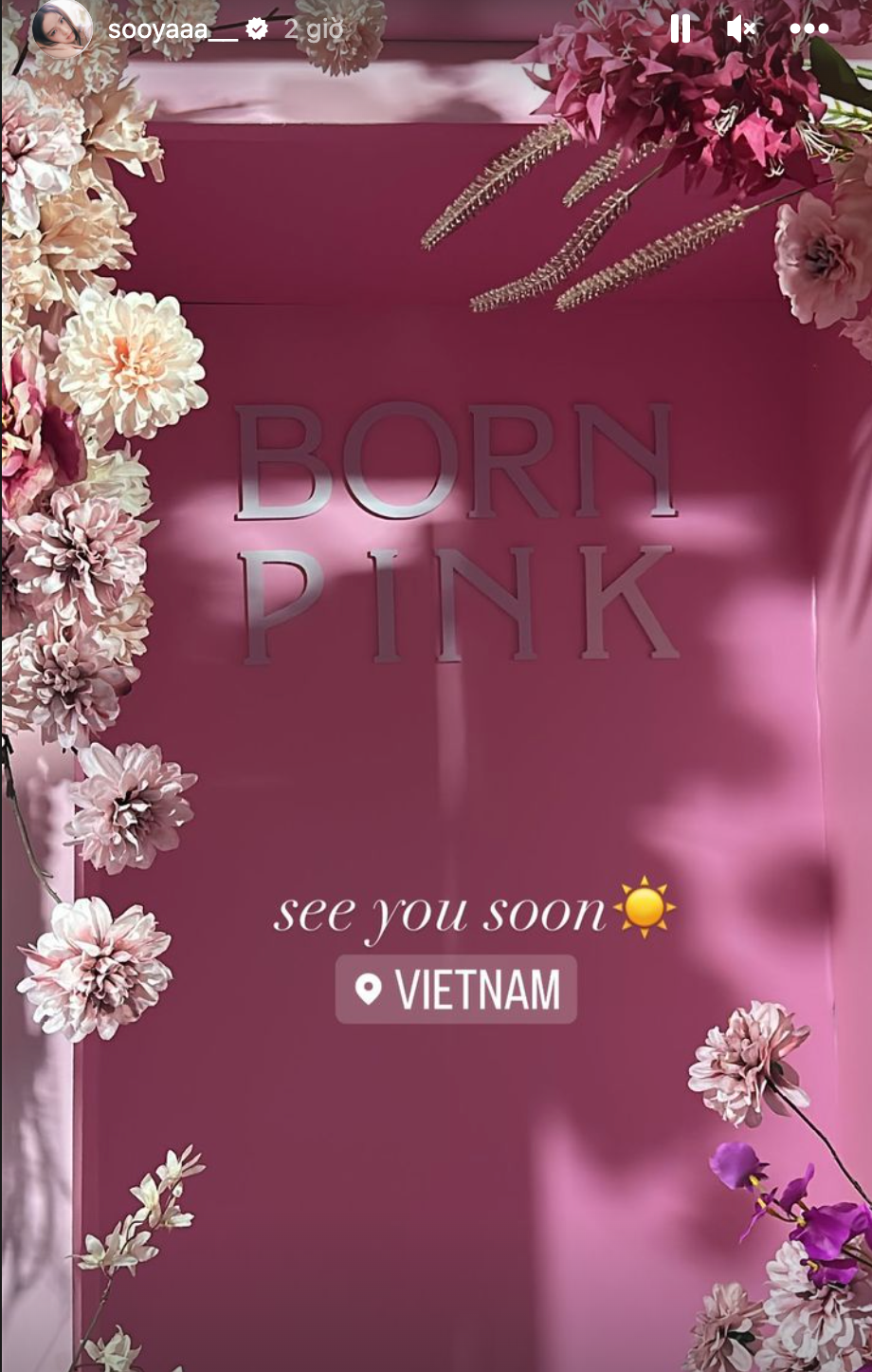Rosé và Jisoo đăng ảnh check-in tại Hà Nội, Việt Nam.