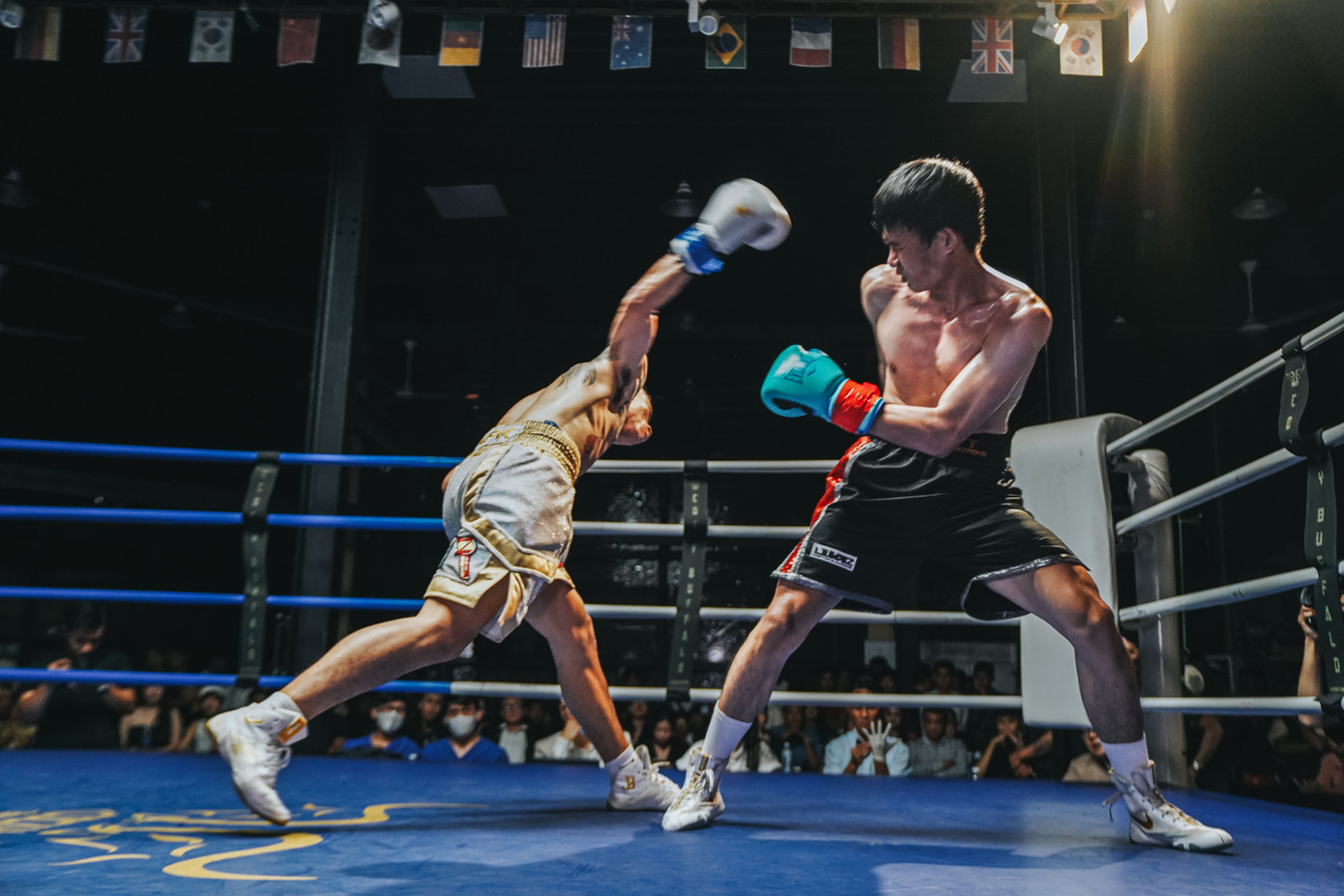 Hình ảnh võ sĩ trong giải đấu Champion&apos;s Genesis.