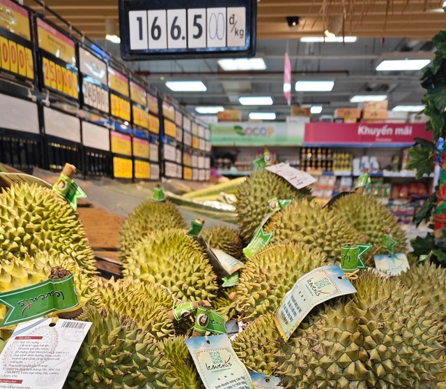 Sầu riêng Ri 6 miền Tây có giá hơn 160.000 đồng/kg.