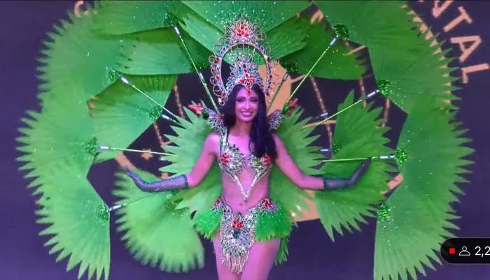 Trang phục National Costume của thí sinh khác tại Miss Intercontinental.