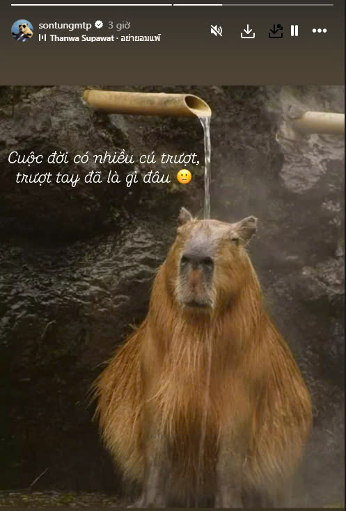 Sơn Tùng giải thích lỡ tay ấn theo dõi Rose (BlackPink).