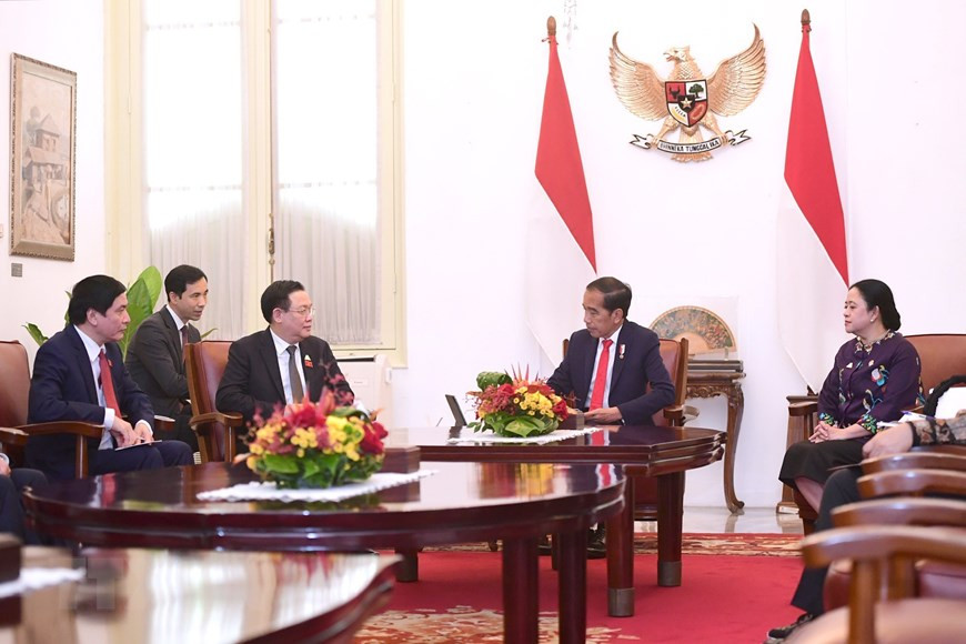 Tại cuộc hội kiến, Chủ tịch Quốc hội Vương Đình Huệ khẳng định Việt Nam hết sức coi trọng Quan hệ Đối tác chiến lược với Indonesia. (Ảnh: TTXVN).