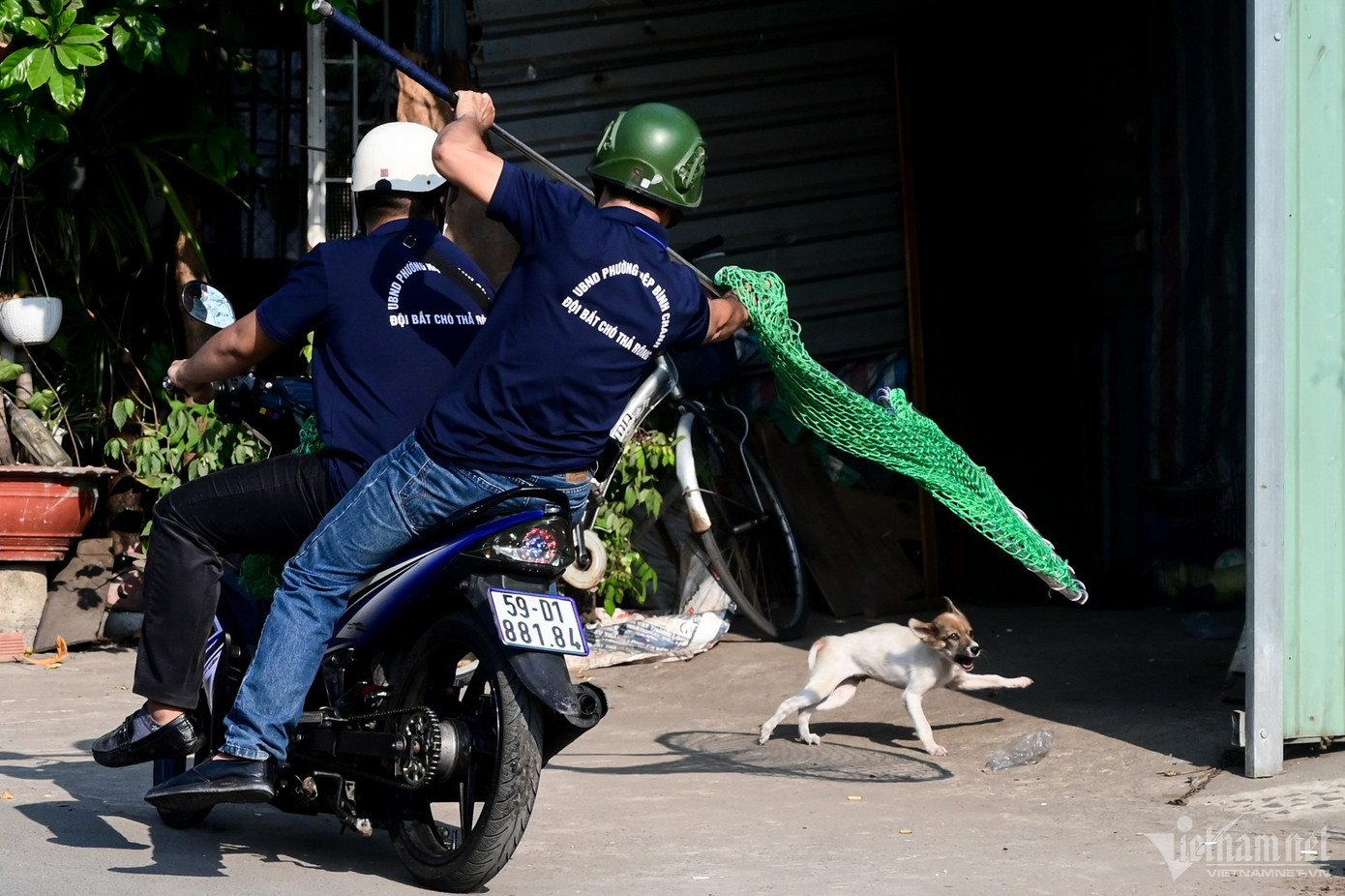 Khi tuần tra, các thành viên của đội mang theo dụng cụ chuyên dụng, tiếp cận và vây bắt những con chó chạy rông ngoài đường, không rọ mõm.