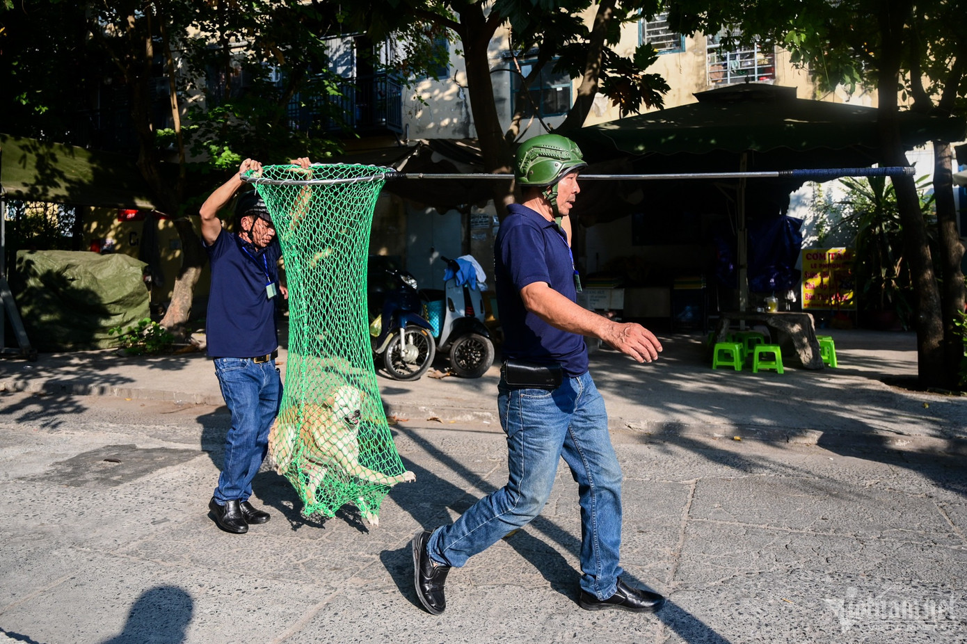Khi tuần tra, các thành viên của đội mang theo dụng cụ chuyên dụng, tiếp cận và vây bắt những con chó chạy rông ngoài đường, không rọ mõm.