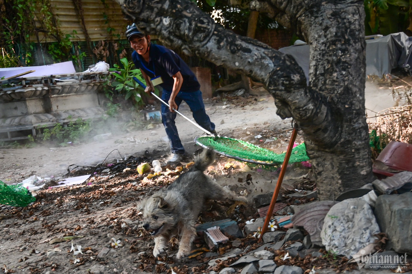 Việc thành lập xuất phát từ phản ánh của người dân và kế hoạch của UBND TP Thủ Đức về phòng chống bệnh dại ở động vật giai đoạn 2022-2030.